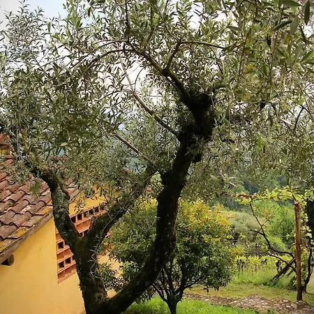 Il Nido Tra Le Nuvole Montignoso