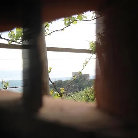 Holiday home Il Nido Tra Le Nuvole Montignoso