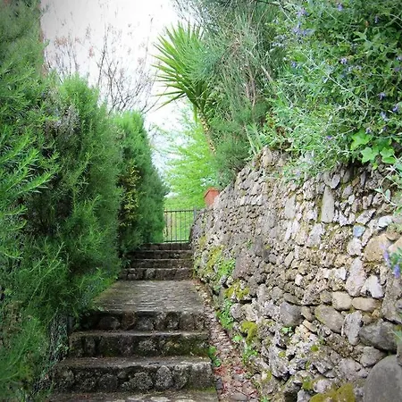 Il Nido Tra Le Nuvole Holiday home Montignoso