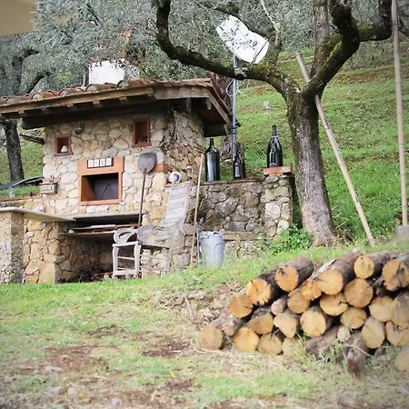 Il Nido Tra Le Nuvole Holiday home