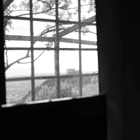 Il Nido Tra Le Nuvole Holiday home Montignoso