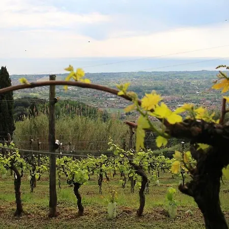 Il Nido Tra Le Nuvole Holiday home